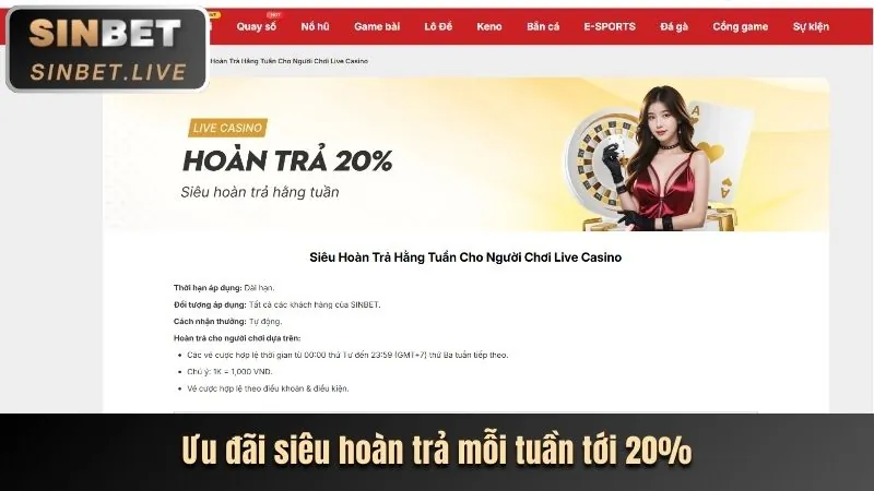 Các loại kèo cá cược tại 98win1